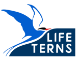 Life Terns