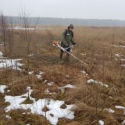 Novaraisčio durpių salelės