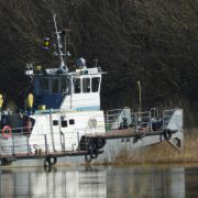DSCN5730.JPG